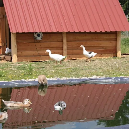 Ferienhaus Fur Bis Zu 4 Personen Zur Seeseite - #125255 Holiday home Grobern