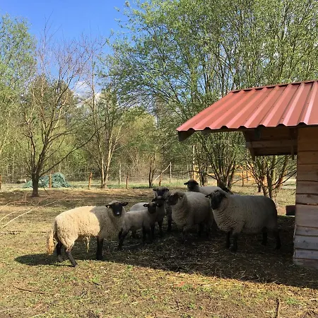 Ferienhaus Fur Bis Zu 4 Personen Zur Seeseite - #125255 Holiday home